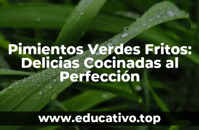 Historia de los Pimientos Verdes Fritos