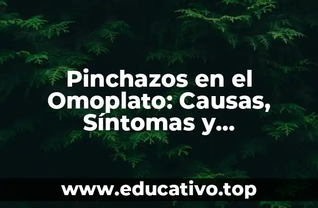 Pinchazos en el Omoplato: Causas, Síntomas y Tratamientos