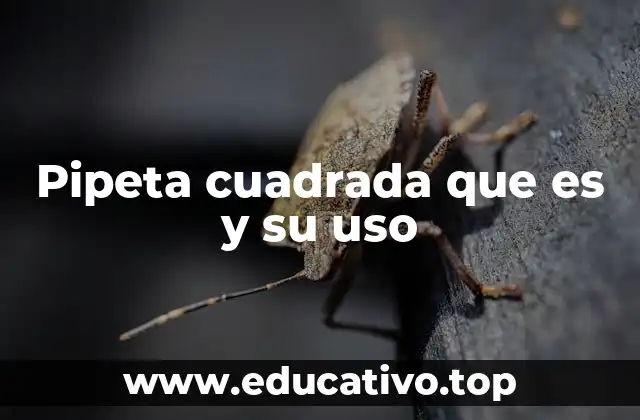 Pipeta cuadrada que es y su uso