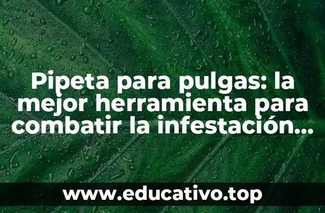 Pipeta para pulgas: la mejor herramienta para combatir la infestación de pulgas