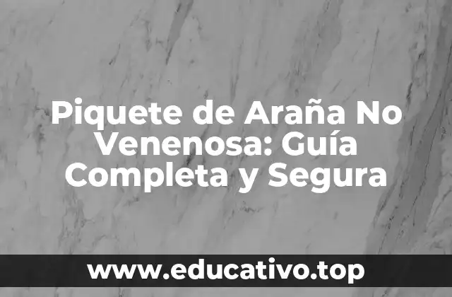 Piquete de Araña No Venenosa: Guía Completa y Segura