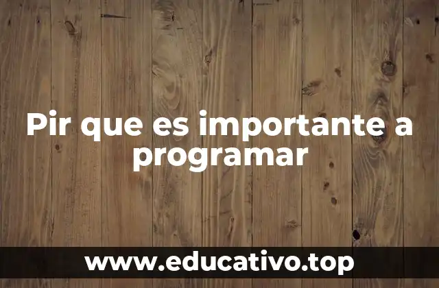 Pir que es importante a programar