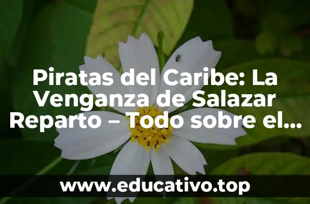 Piratas del Caribe: La Venganza de Salazar Reparto – Todo sobre el elenco de la quinta entrega