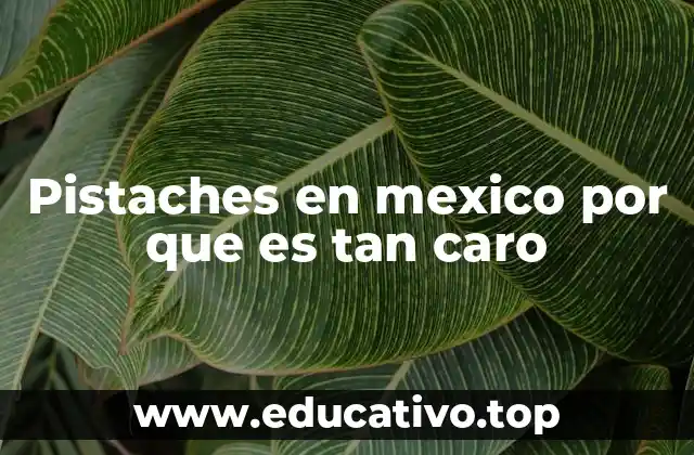 Factores económicos detrás del costo elevado de los pistaches en México