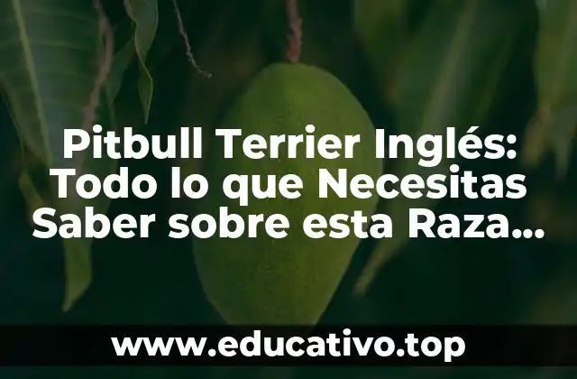 Pitbull Terrier Inglés: Todo lo que Necesitas Saber sobre esta Raza de Perro