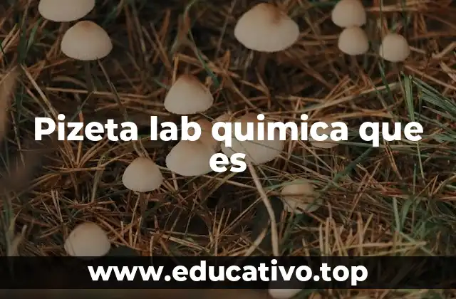 Pizeta lab quimica que es
