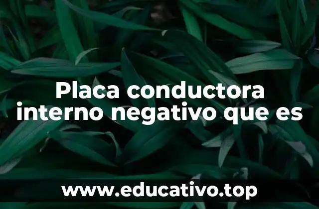 Placa conductora interno negativo que es