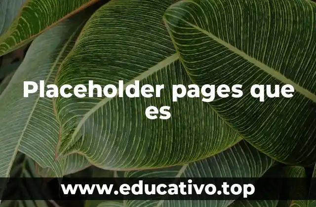 Placeholder pages que es