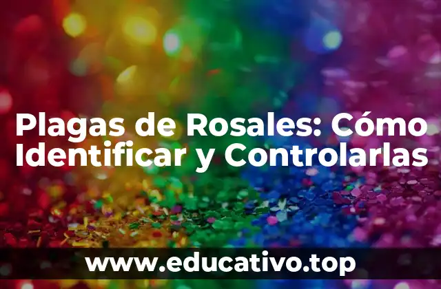 Plagas de Rosales: Cómo Identificar y Controlarlas