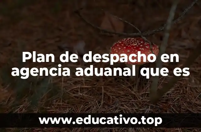 Plan de despacho en agencia aduanal que es