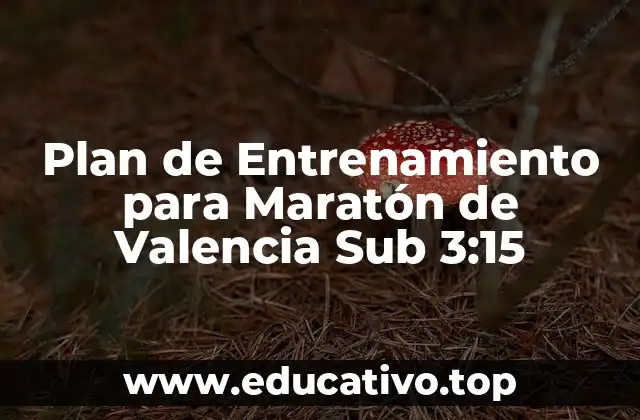Plan de Entrenamiento para Maratón de Valencia Sub 3:15