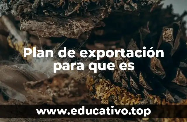 Plan de exportación para que es