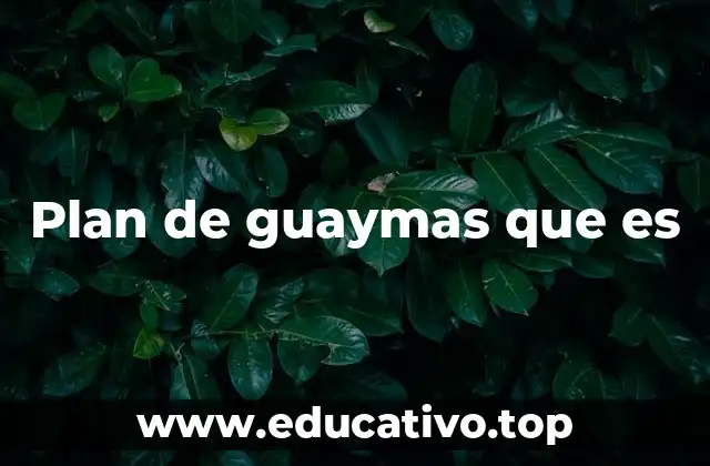 Plan de guaymas que es