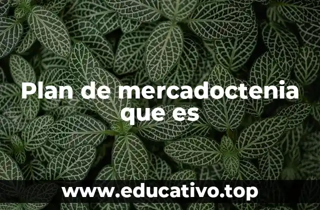 Plan de mercadoctenia que es