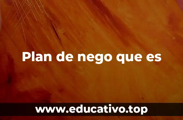 Plan de nego que es