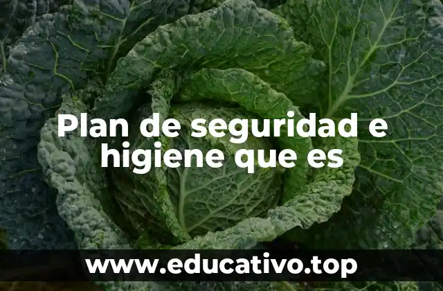 Plan de seguridad e higiene que es