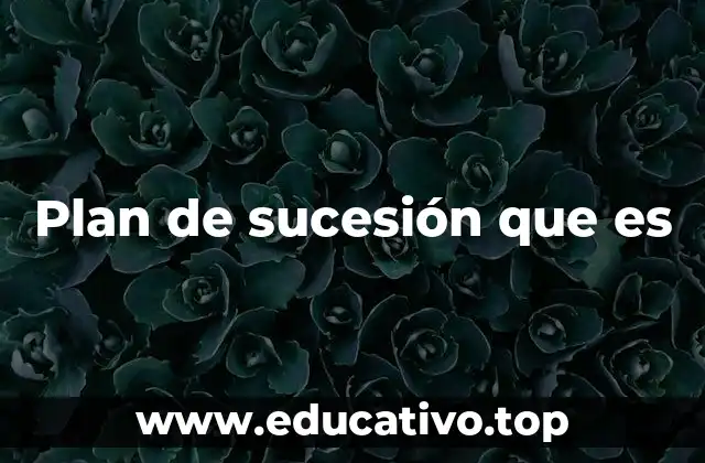 Plan de sucesión que es