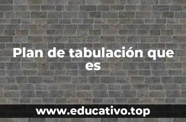 Plan de tabulación que es