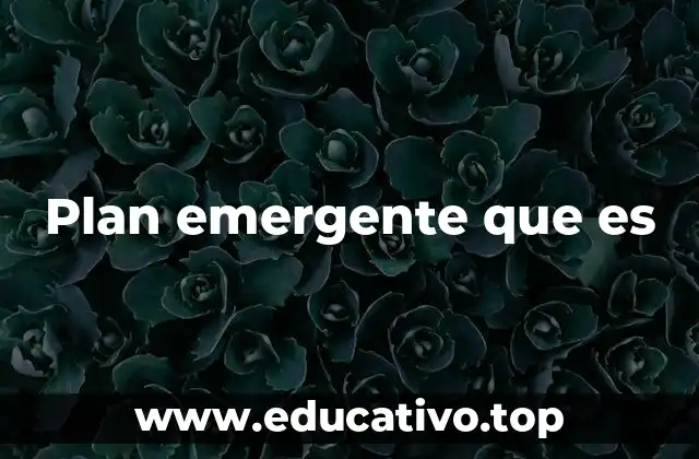 Plan emergente que es