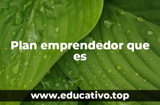 Plan emprendedor que es