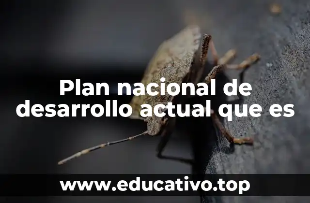 Plan nacional de desarrollo actual que es