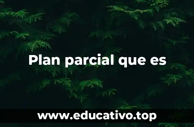 Plan parcial que es