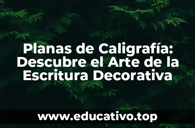 Planas de Caligrafía: Descubre el Arte de la Escritura Decorativa