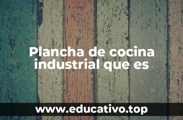 Plancha de cocina industrial que es