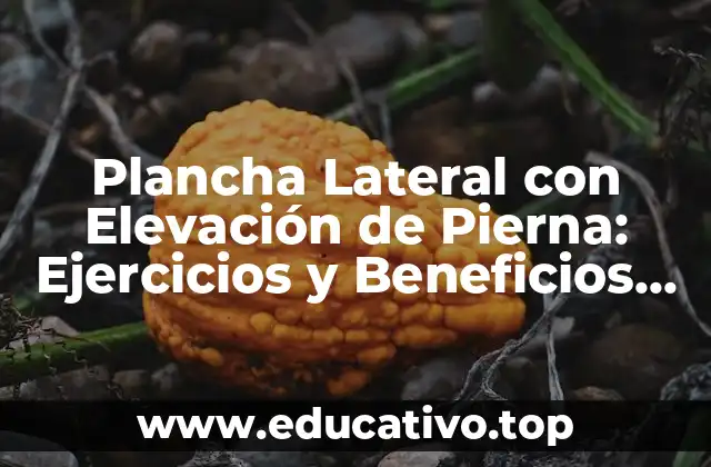 Plancha Lateral con Elevación de Pierna: Ejercicios y Beneficios para el Entrenamiento Físico