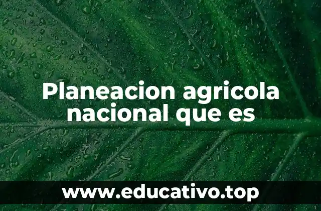 Planeacion agricola nacional que es