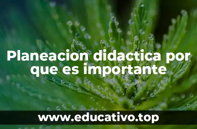 Planeacion didactica por que es importante