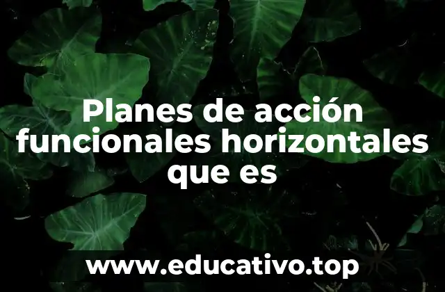 Planes de acción funcionales horizontales que es