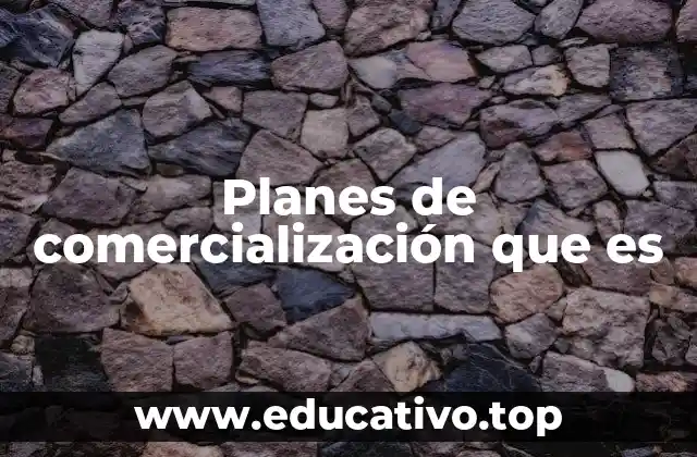Planes de comercialización que es