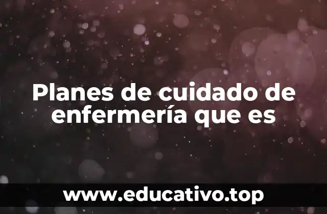 Planes de cuidado de enfermería que es