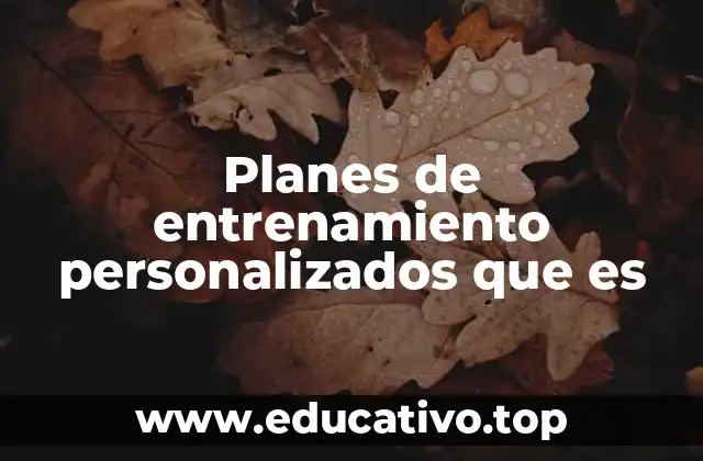 Planes de entrenamiento personalizados que es