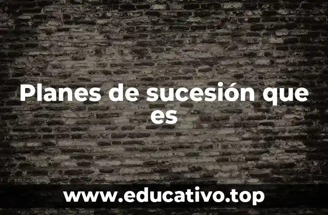 Planes de sucesión que es