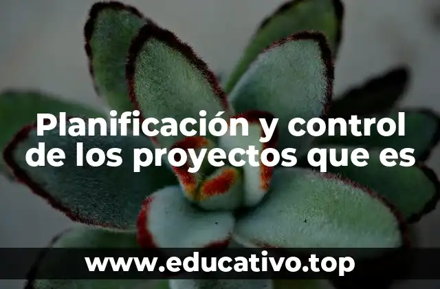 Planificación y control de los proyectos que es