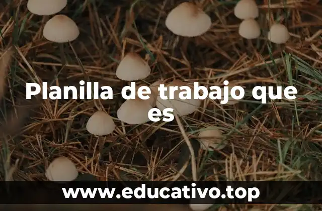 Planilla de trabajo que es