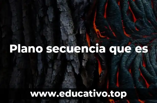 Plano secuencia que es