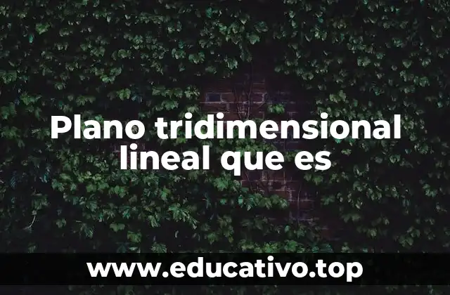 Plano tridimensional lineal que es