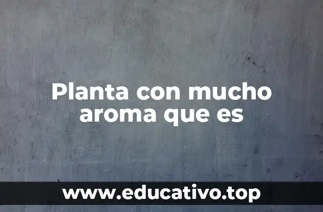 Planta con mucho aroma que es
