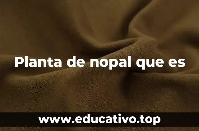 Planta de nopal que es