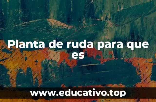 Planta de ruda para que es