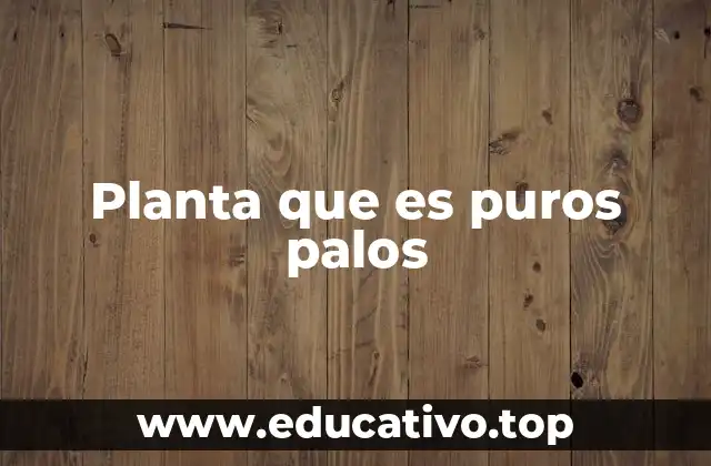Planta que es puros palos