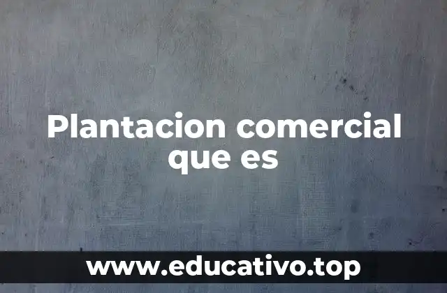 Plantacion comercial que es