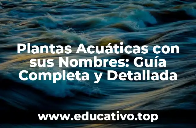Plantas Acuáticas con sus Nombres: Guía Completa y Detallada
