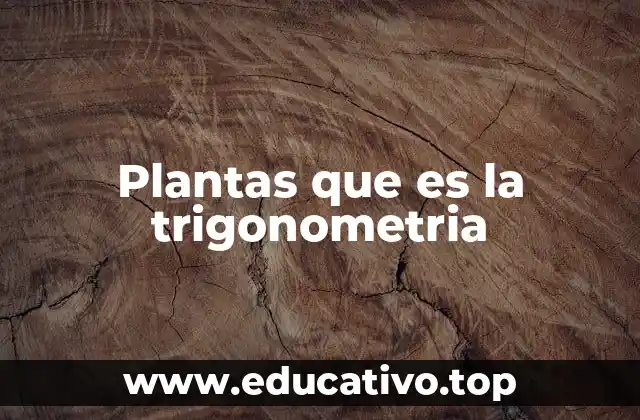 Plantas que es la trigonometria