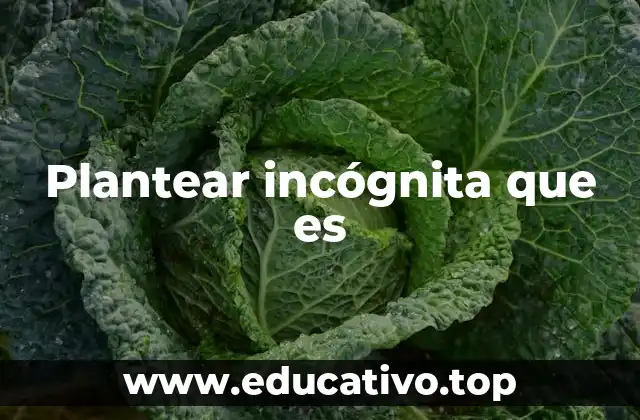 Plantear incógnita que es