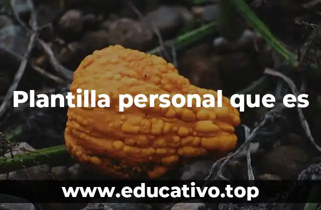 Plantilla personal que es