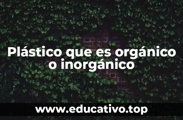 Plástico que es orgánico o inorgánico